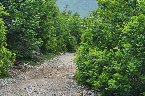 阿尔巴尼亚周边 10 天导游游（半食宿基地）