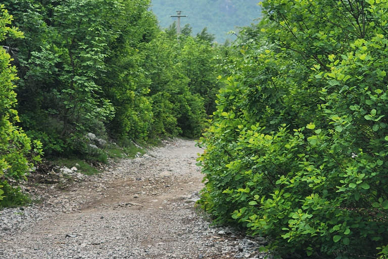 阿尔巴尼亚周边 10 天导游游（半食宿基地）