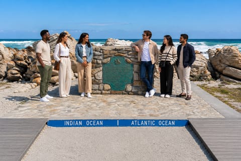From Cape Town: Cape Agulhas, Penguins, Wine Tasting Tour