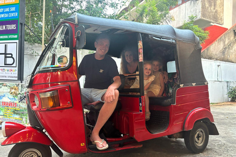 皮利马塔拉瓦茶园品茶之旅（含接送）Kandy Tea Tasting at Pilimathalawa with Pickup &amp; Drop