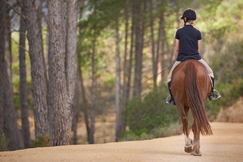 Horseback ride in Almodóvar del Río. Horseback ride through Almodóvar del Río.