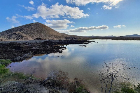 Desde Pto Ayora: Excursión de un día a Floreana y Punta CormoránDesde Pto Ayora: Excursión de un día a la parte deshabitada de Floreana