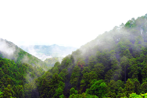 Nara: descubra un gigantesco Buda de piedra en las colinas boscosasNara: descubre un gigantesco Buda de piedra en las colinas boscosas