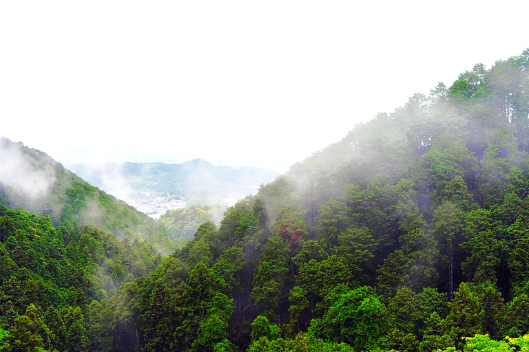 Nara: descubra un gigantesco Buda de piedra en las colinas boscosasNara: descubre un gigantesco Buda de piedra en las colinas boscosas