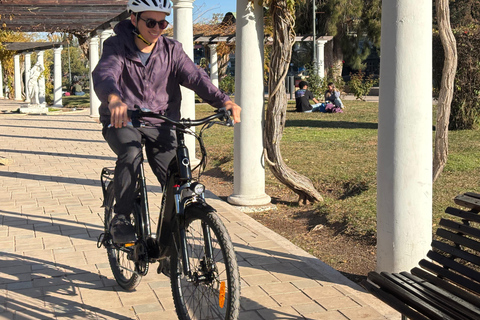 Mendoza: San Martin's park E-Bike ride