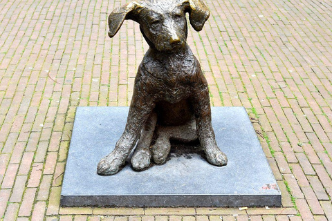 Rotterdam: Bizzare Architecture and Art Walking Tour