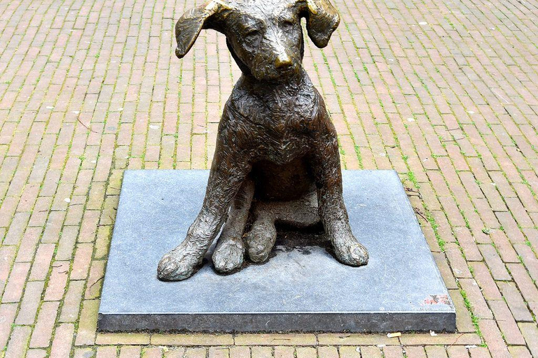 Rotterdam: Bizzare Architecture and Art Walking Tour