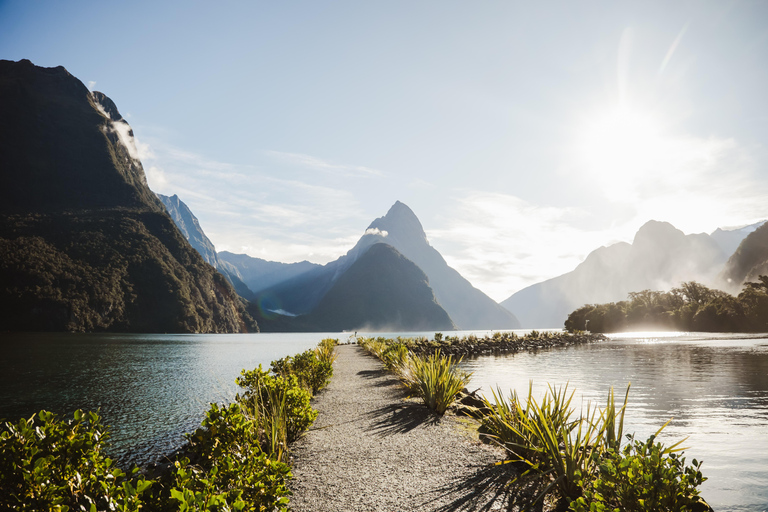 Milford Sound Small-Group Glass-Roof Tour from Queenstown Glass-Roof with a Fixed Wing Flyback