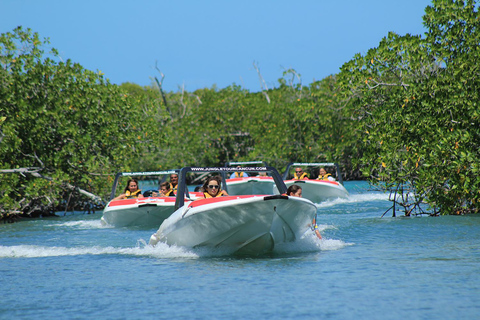 Cancun: Aventura na selva com lancha rápida e mergulho com snorkel.