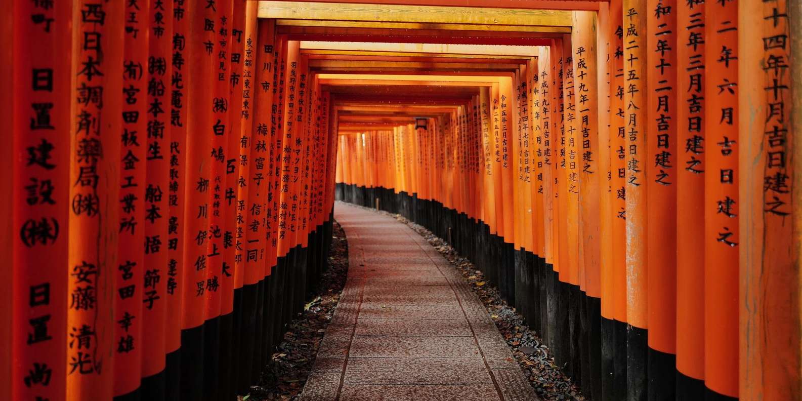 Kyoto experience — temples, geisha, bamboo grove — image 28