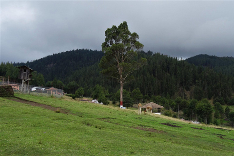 Excursie naar de Ventanillas de Otuzco + Tres Molinos boerderij