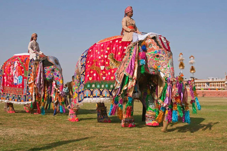 From Delhi: Same Day Guided Jaipur Tour with 5 Star Lunch From Delhi: All Included Tour