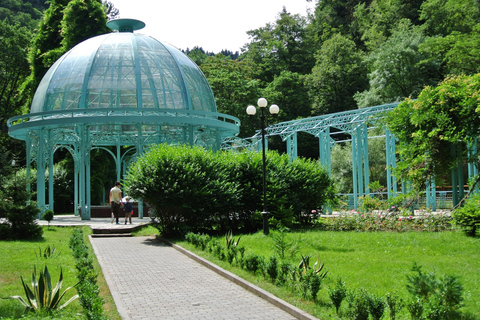 From Tbilisi Bakuriani and Borjomi Day Trip