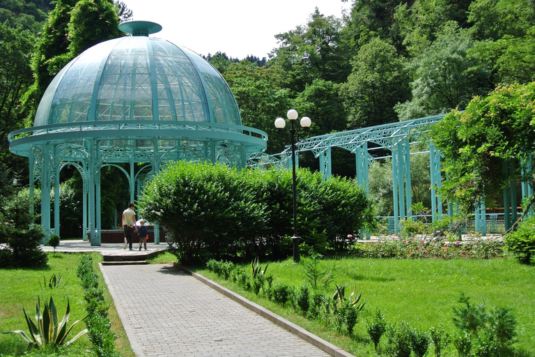 From Tbilisi Bakuriani and Borjomi Day Trip
