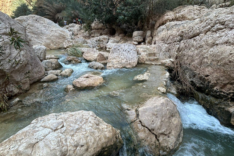 Mascate: Jornada completa en Wadi Shab y el sumidero de Bimmah + almuerzo libre