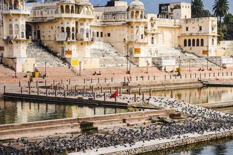 From Delhi: Golden Triangle Private Tour with Safari 7-days Golden Triangle Tour without Hotels & Tickets