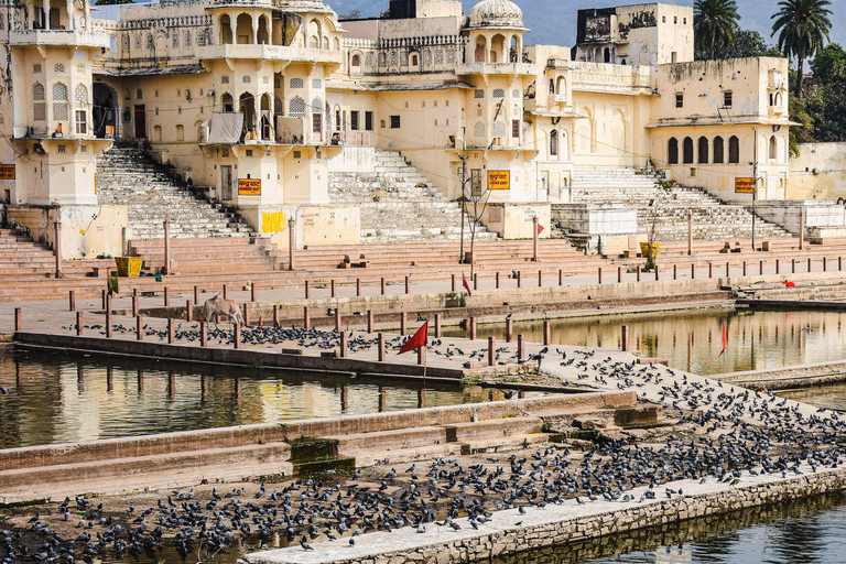 From Delhi: Golden Triangle Private Tour with Safari 7-days Golden Triangle Tour without Hotels & Tickets