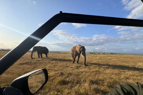 Cidade do Cabo: Safari de 3 dias, pinguins e visita a Mossel Bay