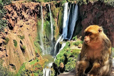 Da Marrakech: Cascate di Ouzoud con guida e giro in barca