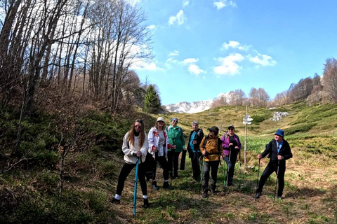 From Sarajevo: Treskavica Mountain Hiking Tour with Lunch