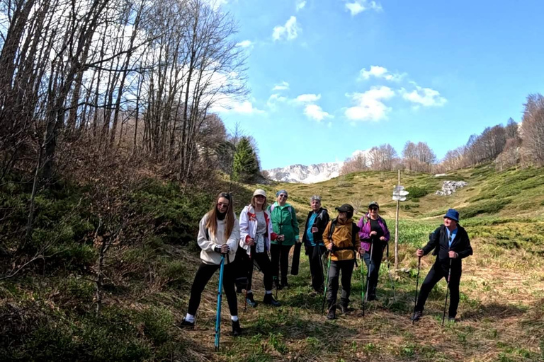 From Sarajevo: Treskavica Mountain Hiking Tour with Lunch