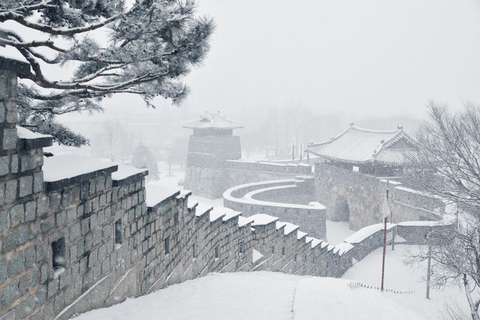 From Seoul: Suwon Hwaseong and Deogyusan Winter Tour Hongik Univ Station Exit 4