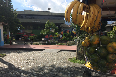 Medellin: Fruits and Vegetables Market Places Tour