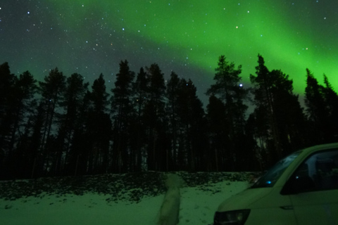 From Kiruna: Abisko National Park Northern Lights Tour
