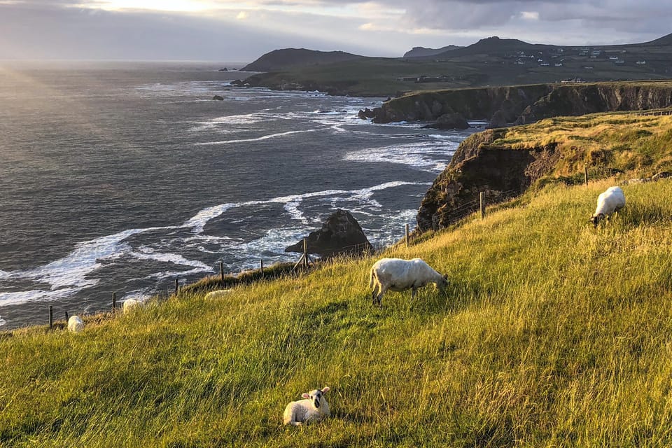 Dingle: Slea Head Photo And Sightseeing Tour | GetYourGuide