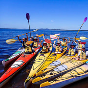 Noosa Everglades: Truly Sustainable Guided Kayak Tour