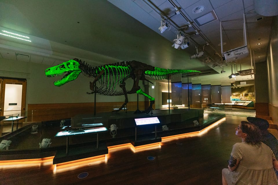 Chicago Field Museum of Natural History Ticket or VIP Tour GetYourGuide