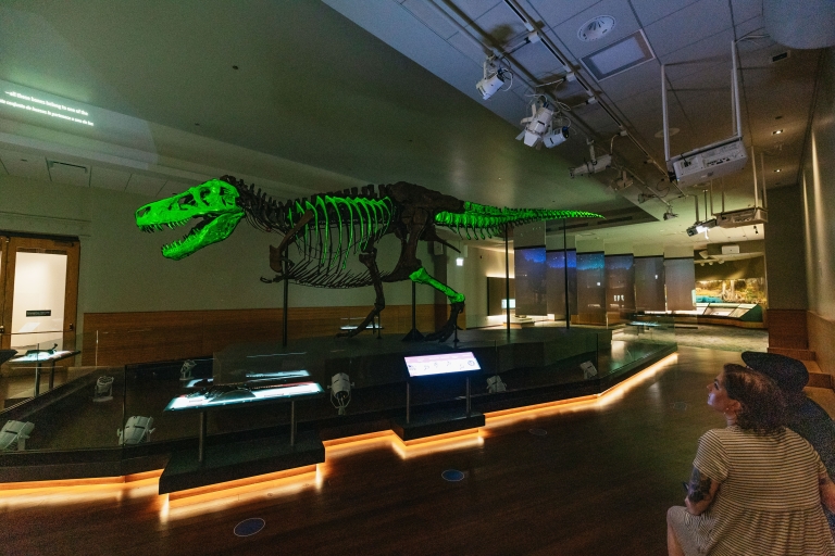 Chicago: Field Museum of Natural History Ticket of VIP-tourToegangsbewijs Discovery Pass Museum