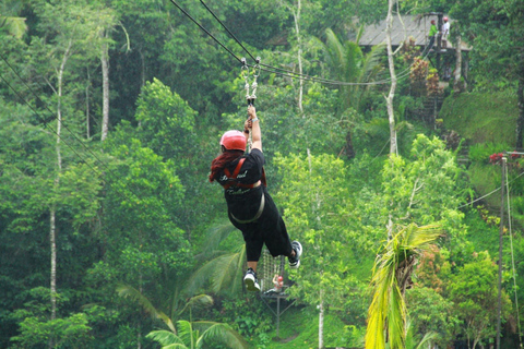 Bali: Blue Lagoon Snorkeling, Zipline, and UTV Buggy Tour Single Buggy, Zipline and Snorkeling with Transfer