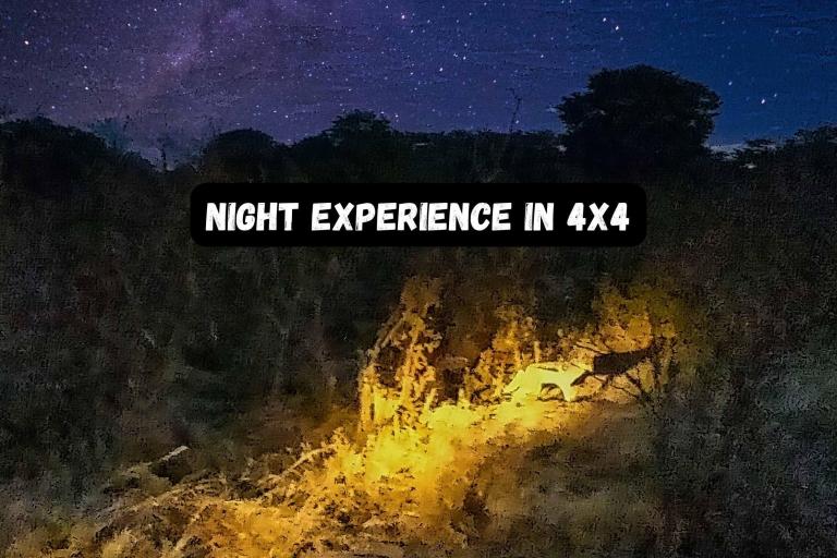 Wodospady Wiktorii: Flashlight Bush Experience Drive in 4x4Wodospady Wiktorii. Latarka w buszu w jeepie 4x4