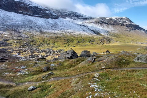 Da Abisko: tour guidato della valle di Kärkevagge e del lago Trollsjön