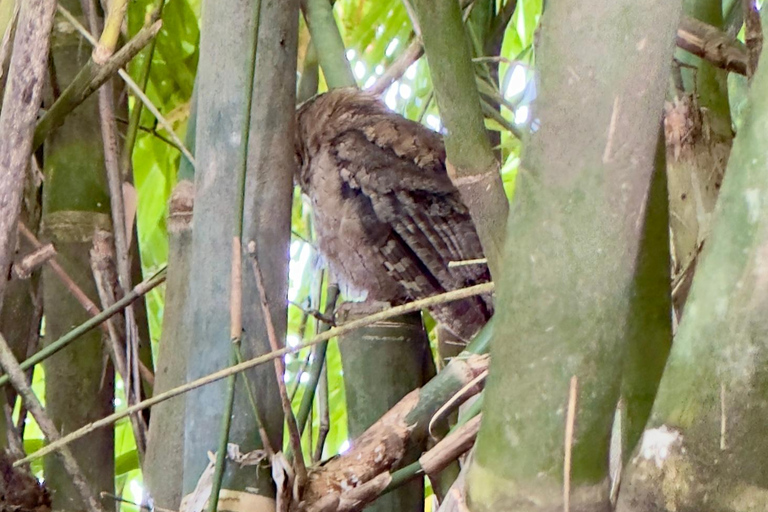 Negombo Dutch Canal & River Birding Wildlife Boat tour