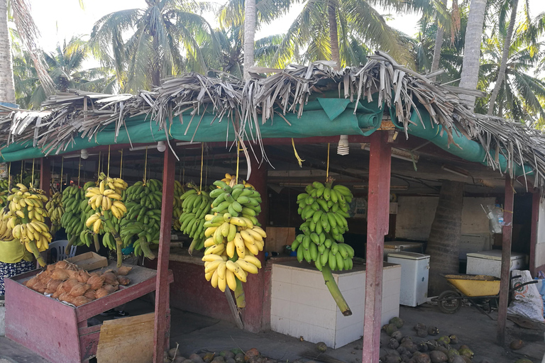 Salalah: Stadsrondleiding met lokale gids