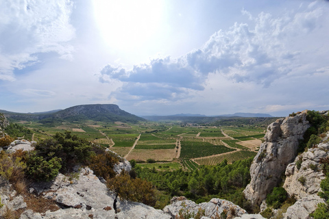 Wine Tour by minibus: Picnic Day and Wines around Perpignan Privatization