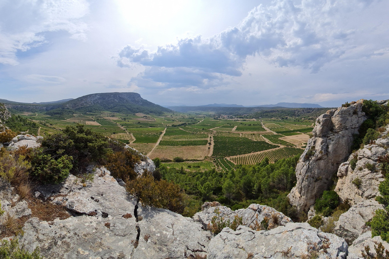 Wine Tour by minibus: Picnic Day and Wines around Perpignan Privatization