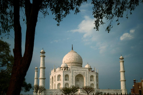 Agra : visite privée du Taj Mahal et du Fort d&#039;Agra avec déjeuner 5 étoilesVisite privée du Taj Mahal et du Fort d&#039;Agra avec un guide professionnel