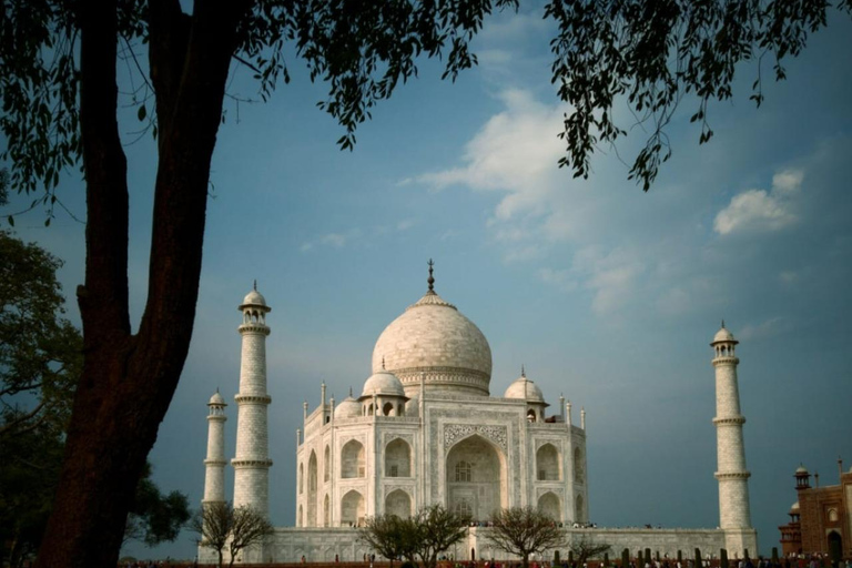 Agra : visite privée du Taj Mahal et du Fort d&#039;Agra avec déjeuner 5 étoilesVisite privée du Taj Mahal et du Fort d&#039;Agra avec un guide professionnel
