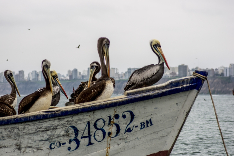 Authentisches Lima: Fischereikultur-TourAbholung von Miraflores, Barranco, San Isidro oder in der Nähe