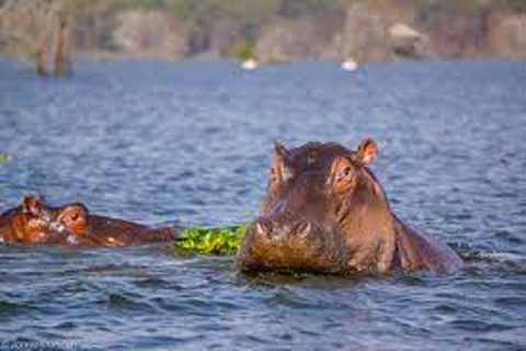 Puerta del Infierno Lago Naivasha con excursión de un día en barco