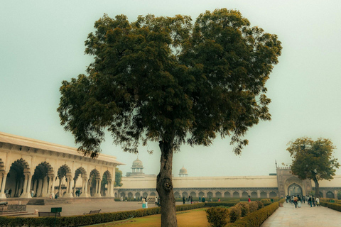 Desde Delhi: Excursión Privada Todo Incluido al Taj Mahal y al Fuerte de AgraConductor + Coche Privado + Guía