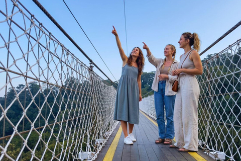 Jakarta: White Crater, Sky Bridge & Hot Springs Premium Tour Bandung: White Crater, Bridge & Hot Springs Tour