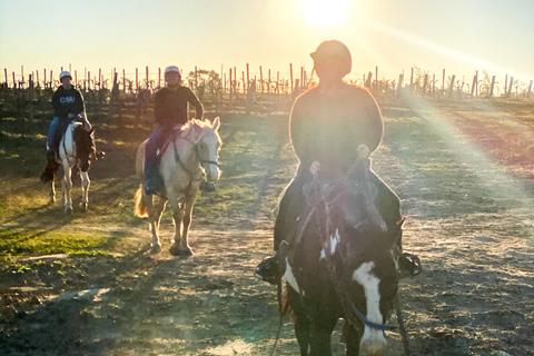 Hunter Valley: Sunset Horse Riding Tour 90min