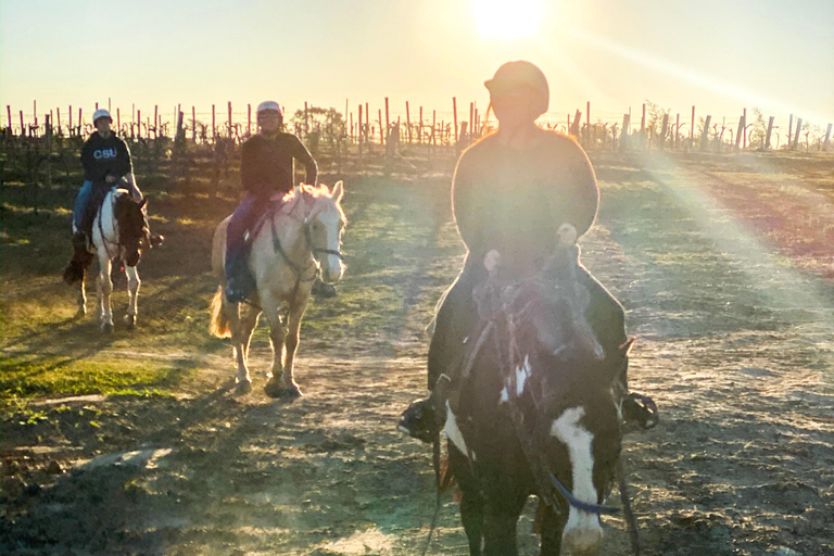 Hunter Valley: Sunset Horse Riding Tour 90min