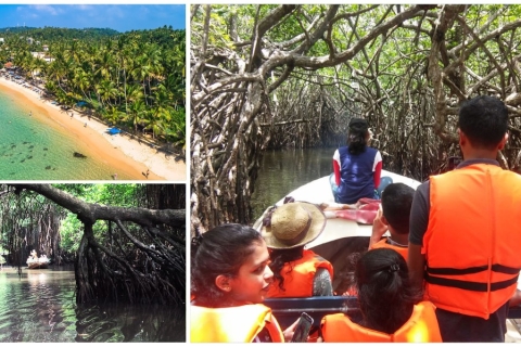 Bentota: moerasboottocht door mangrovebosBentota: Motorboottocht door mangrovebos