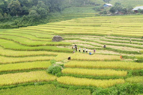 Hanoi to Sapa: Terraced Fields, Culture & Cuisine – 3 Days