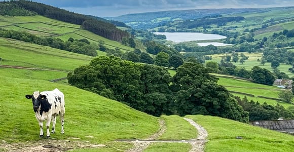 From York: Small-Group Herriot & Yorkshire Dales Day Trip